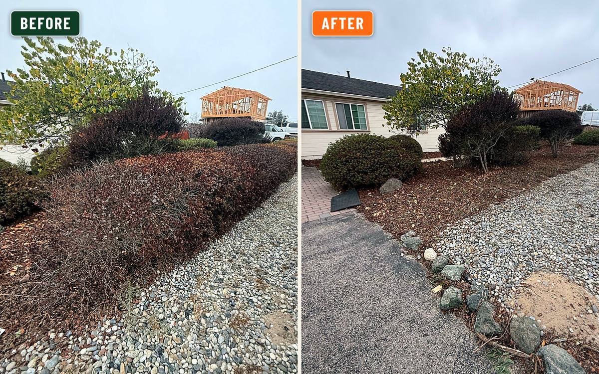 Before and after, side by side: a dead red hedge and bare gravel on the left, a clean mulch and rock bed on the right