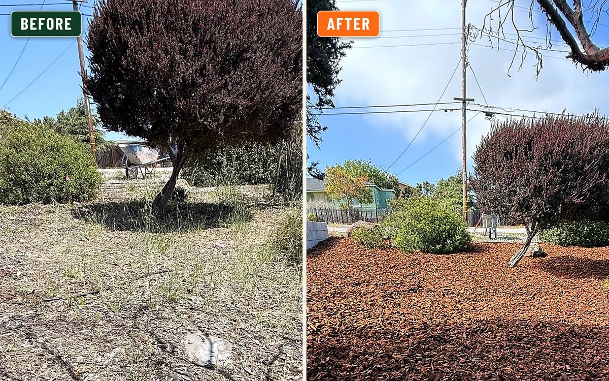 Before and after, side by side: a weedy gray garden bed on the left, the same bed with fresh red mulch on the right